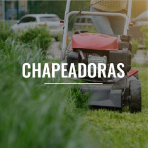 Chapea_imag