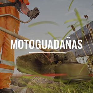 Motogua_imag
